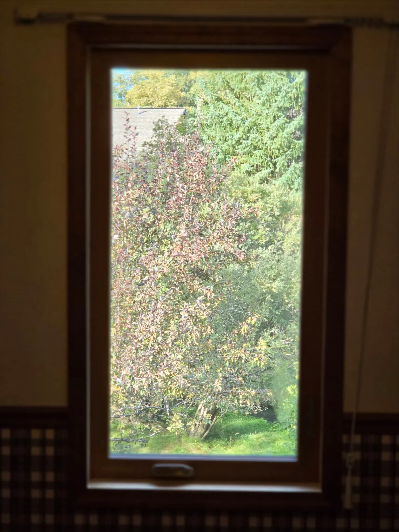 Fresh Window Installations That Actually Make a Difference