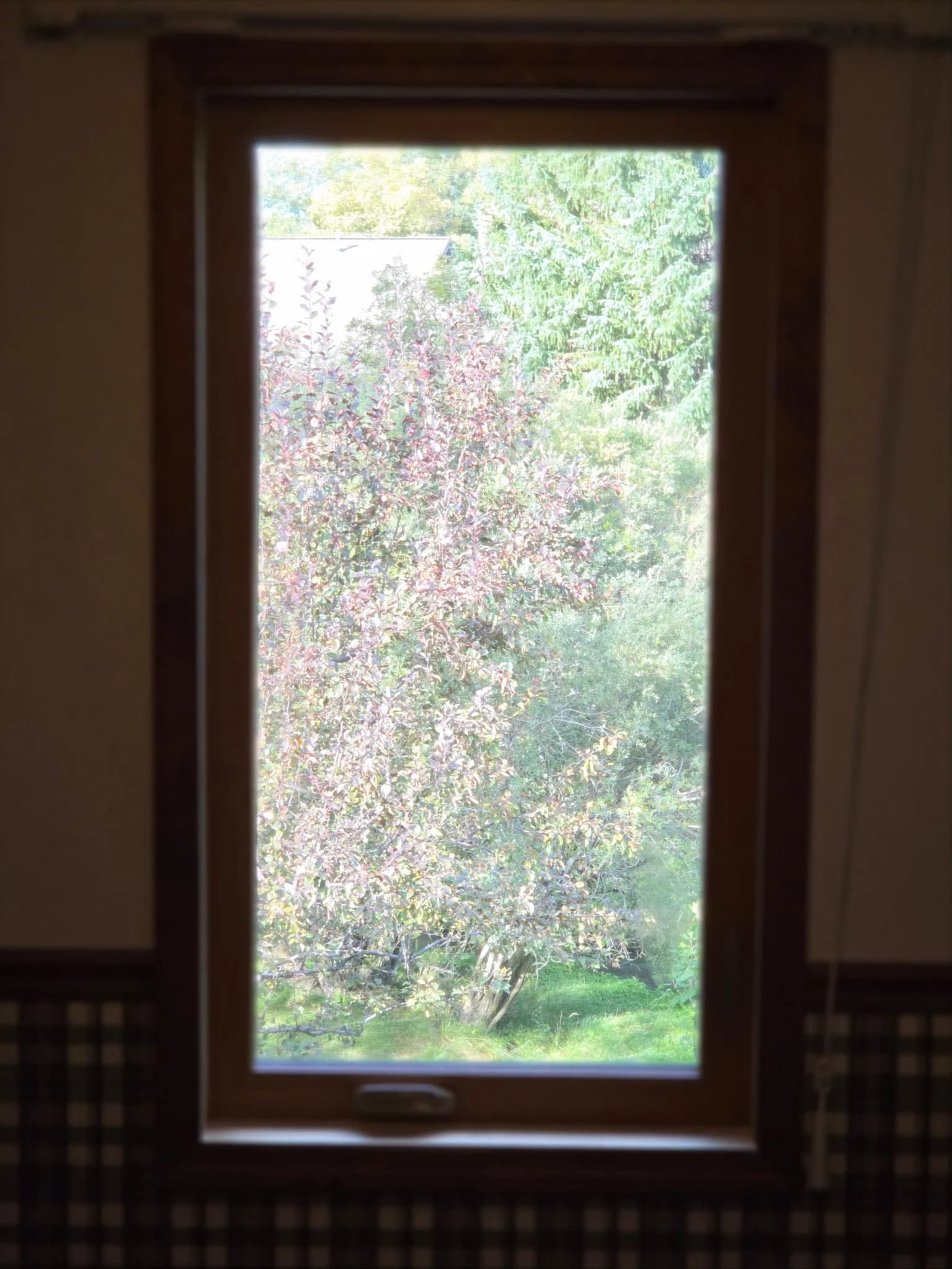Fresh Window Installations That Actually Make a Difference